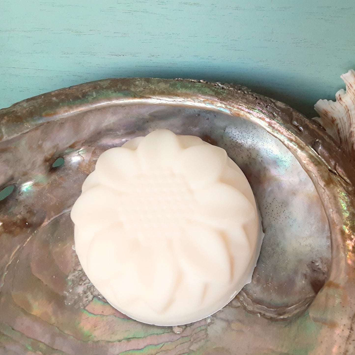 Coconut Dish Soap Refill and Laundry Stick